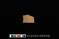 藏品(腹片)的圖片