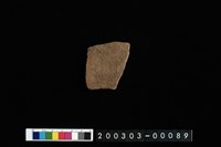 藏品(腹片)的圖片