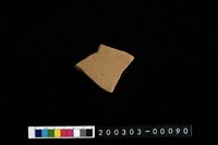 藏品(腹片)的圖片