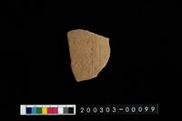 藏品(腹片)的圖片