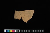 藏品(腹片)的圖片