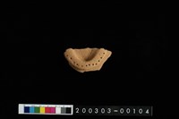 藏品(腹片)的圖片