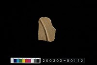 藏品(腹片)的圖片