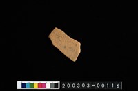 藏品(腹片)的圖片