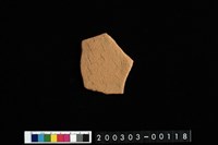 藏品(腹片)的圖片