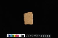 藏品(腹片)的圖片