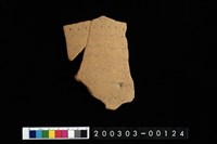 藏品(腹片)的圖片