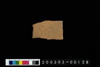 藏品(腹片)的圖片