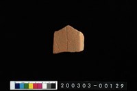 藏品(腹片)的圖片