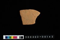 藏品(腹片)的圖片