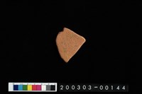 藏品(腹片)的圖片