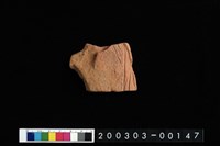 藏品(腹片)的圖片