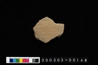 藏品(腹片)的圖片