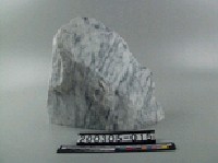 藏品(大理岩)的圖片