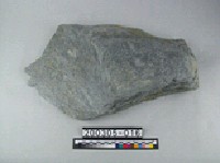 藏品(絹雲母片岩)的圖片