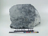 藏品(板岩)的圖片