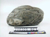 藏品(千枚岩)的圖片