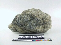 藏品(石灰岩)的圖片