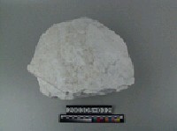 藏品(白雲岩)的圖片