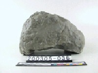 藏品(泥岩)的圖片