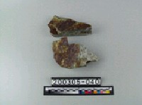 藏品(斑銅礦)的圖片