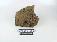 藏品(褐鐵礦)的圖片