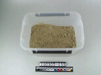 藏品(矽砂)的圖片