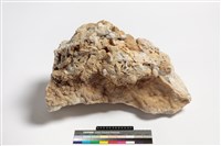 藏品(方解石)的圖片