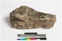 藏品(菱鎂礦)的圖片