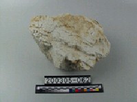 藏品(正長石)的圖片