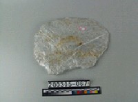 藏品(絹雲母)的圖片