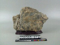 藏品(海泡石)的圖片