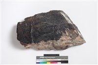 藏品(薔薇輝石)的圖片