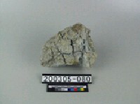 藏品(蒙脫石)的圖片