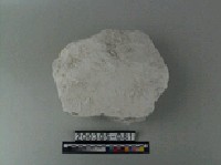 藏品(高領土)的圖片