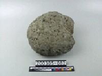 藏品(綠鱗岩)的圖片