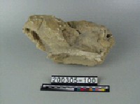 藏品(鐘乳石)的圖片