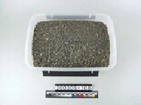 藏品(砂石)的圖片