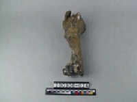 藏品(牛肢骨)的圖片