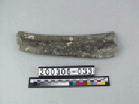 藏品(象肋骨)的圖片