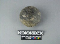 藏品(象臏骨)的圖片