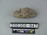 藏品(象骨（部位不明）)的圖片