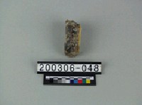 藏品(象骨（部位不明）)的圖片