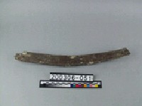 藏品(象肋骨)的圖片