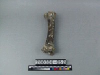 藏品(牛肢骨)的圖片