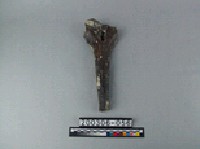 藏品(牛肢骨)的圖片