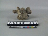 藏品(牛脊椎骨)的圖片