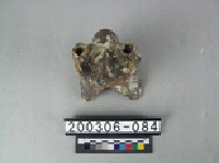 藏品(牛脊椎骨)的圖片