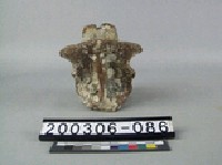 藏品(象脊椎骨)的圖片