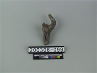 藏品(鹿角)的圖片